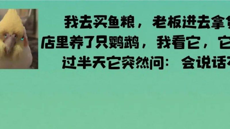 休闲食品代工，揭秘那些不可忽视的严苛标准